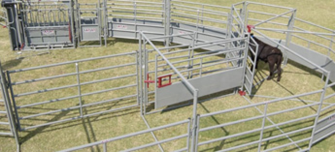 WW Livestock Systems 210 Tub System High Plains Cattle Supply Platteville Colorado