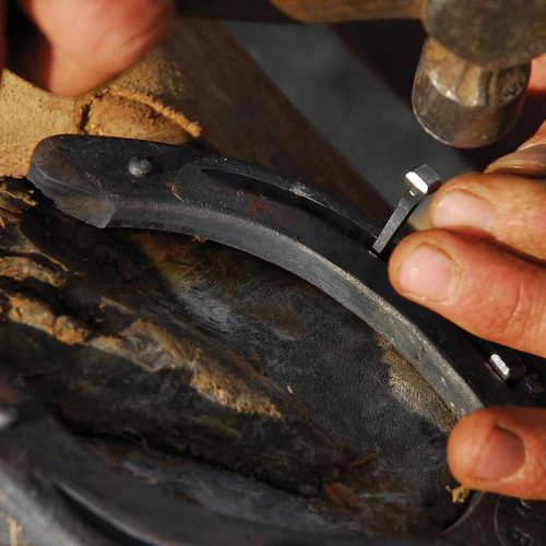 farriersupplies High Plains Cattle Supply