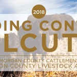 Feeding Contest Calcutta Morgan County