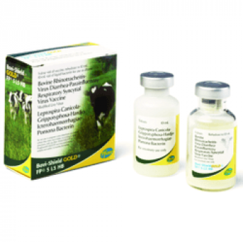 Zoetis Bovi-Shield Gold FP 5 L5 VL5 HB Vaccine (50 Dose)