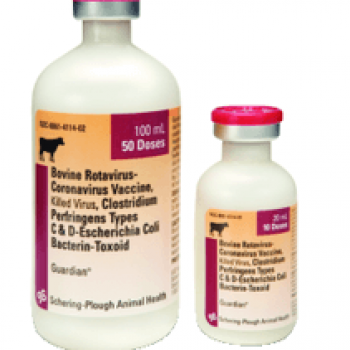 Merck Guardian Scours Vaccine