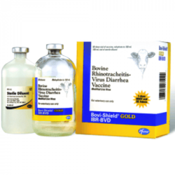 Zoetis Bovi-Shield Gold BVD Vaccine (50 dose)
