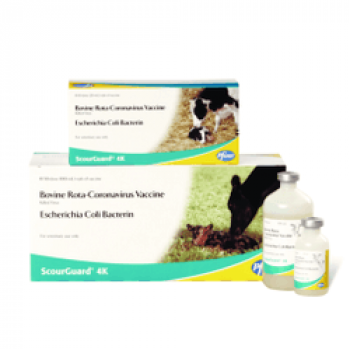 Zoetis ScourGuard 4K Vaccine (50 dose)