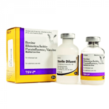 Zoetis TSV-2 Bovine Rhinotracheitis & Parainfluenza3 (P13) Intranasal Vaccine