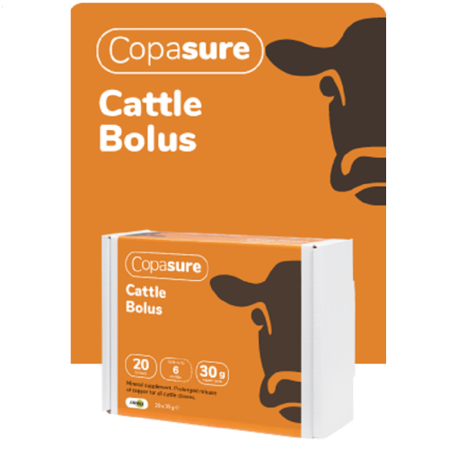 Animax Limited Copasure Copper Bolus Cattle (25 gm)(24 count) High