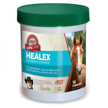 Formula 707 Healex Antiseptic Ointment (16 oz)