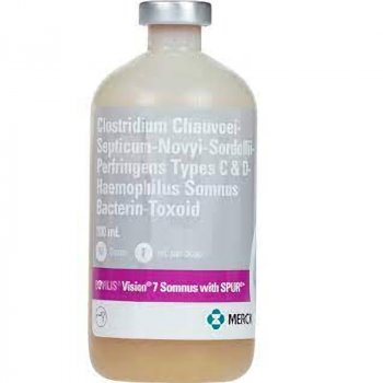 Merck Vision 8 Somnus with Spur Vaccine