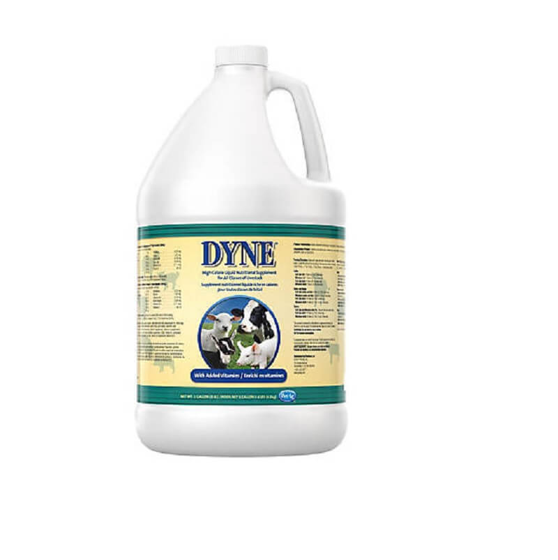 Pet Ag Inc Dyne® High Calorie Supplement