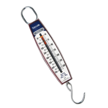 Sullivan Supply Scale (50 lb)