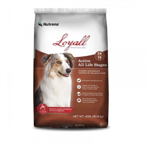 Food Archives High Plains Cattle Supply