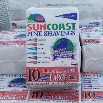 Suncoast Pine Shavings Large Flake