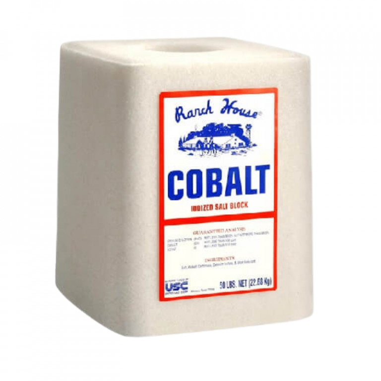 Ranch House Iodized Cobalt Salt Block (50 lb) High Plains Cattle Supply