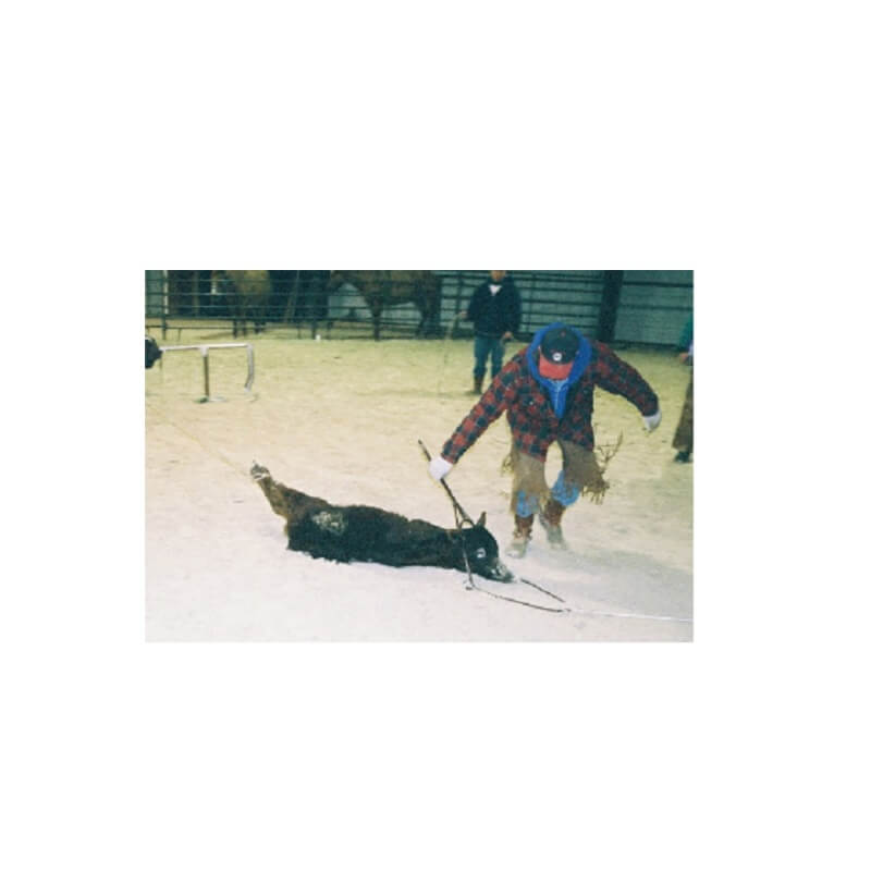 Cow Country Branding Fork - Image 4