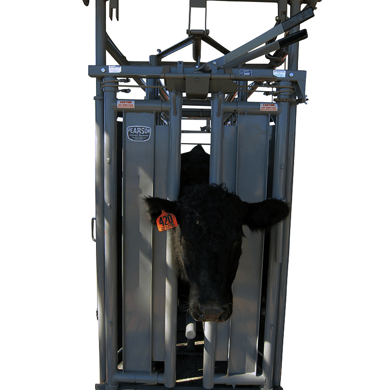 Pearson Self-Catch Headgate - Image 2