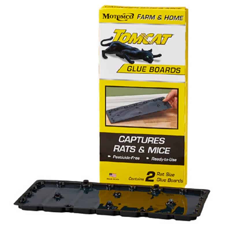 Motomco Tomcat Rat Glue Board