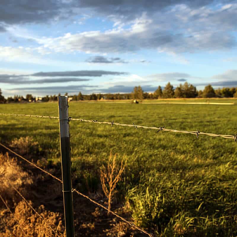 wirefencingsupplies High Plains Cattle Supply